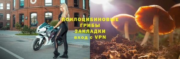 стафф Лихославль