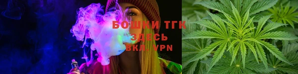 МДПВ Липки