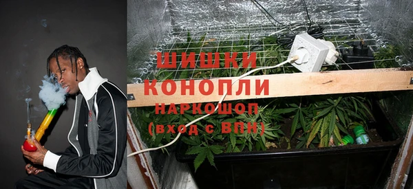 МДПВ Липки