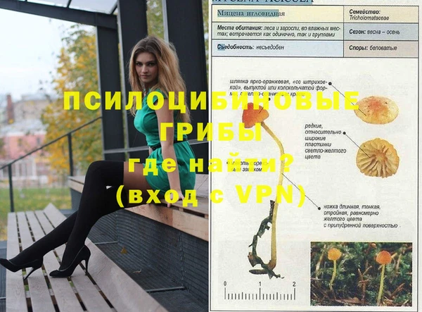 стафф Лихославль