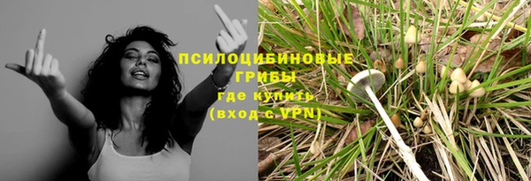 спиды Лиски