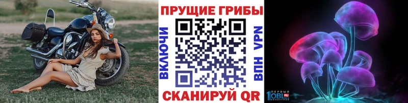 Купить  Сатка  Галлюциногенные грибы мухоморы 